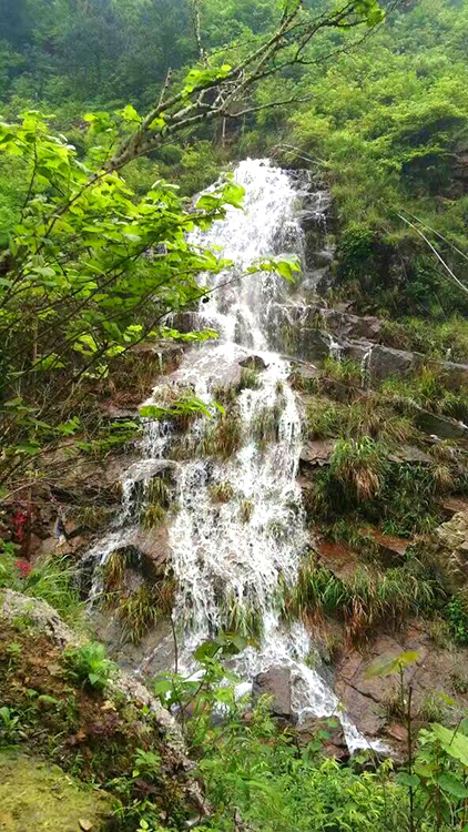 高马二溪风景2